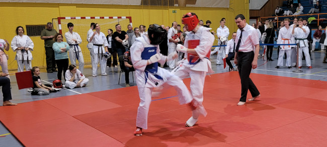 Mistrzostwa Podkarpacia Karate 2023